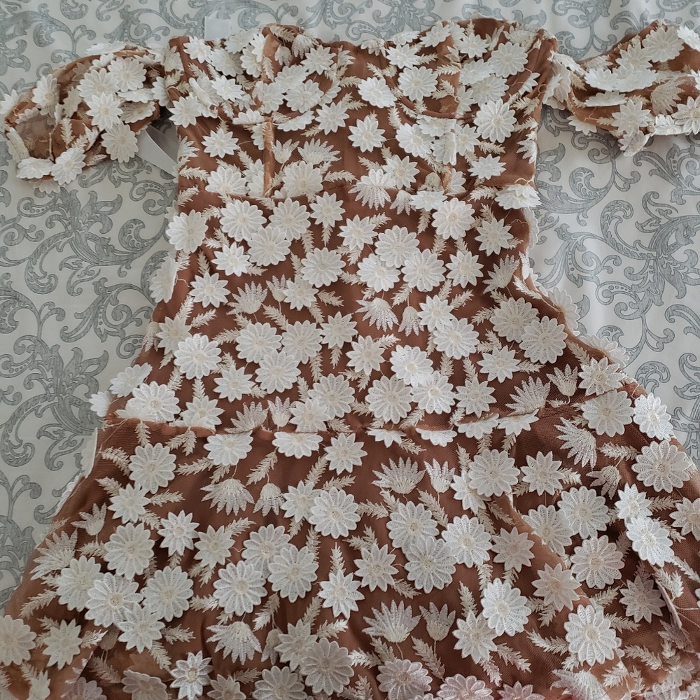 For love and lemons dress